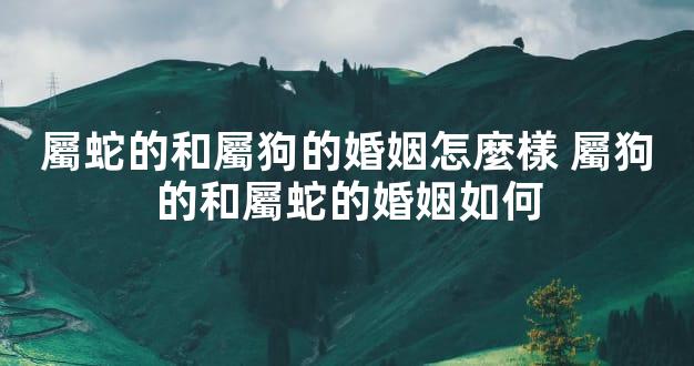 屬蛇的和屬狗的婚姻怎麼樣 屬狗的和屬蛇的婚姻如何